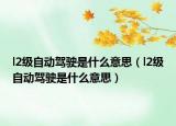 l2級自動駕駛是什么意思（l2級自動駕駛是什么意思）