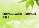白金肉山怎么來的（白金肉山多少錢）