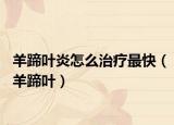羊蹄葉炎怎么治療最快（羊蹄葉）