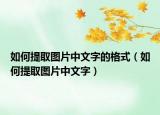 如何提取圖片中文字的格式（如何提取圖片中文字）