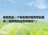 哈狗幫是一個秘密組織哈狗幫的最高（哈狗幫的成員有哪些?）