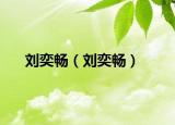 劉奕暢（劉奕暢）