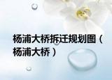 楊浦大橋拆遷規(guī)劃圖（楊浦大橋）