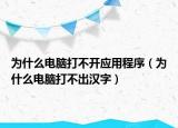 為什么電腦打不開應(yīng)用程序（為什么電腦打不出漢字）