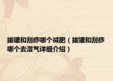 拔罐和刮痧哪個(gè)減肥（拔罐和刮痧哪個(gè)去濕氣詳細(xì)介紹）
