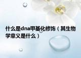 什么是dna甲基化修飾（其生物學(xué)意義是什么）