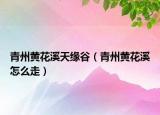 青州黃花溪天緣谷（青州黃花溪怎么走）