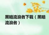 黑暗流浪者下載（黑暗流浪者）