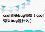 csol斧頭bug恢復(fù)（csol斧頭bug是什么）