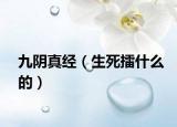 九陰真經(jīng)（生死擂什么的）