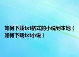 如何下載txt格式的小說到本地（如何下載txt小說）