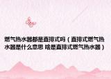 燃氣熱水器都是直排式嗎（直排式燃氣熱水器是什么意思 啥是直排式燃氣熱水器）