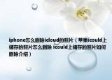 iphone怎么刪除icloud的照片（蘋果icould上儲存的照片怎么刪除 icould上儲存的照片如何刪除介紹）