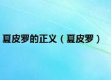 夏皮羅的正義（夏皮羅）