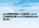 excel表格如何顯示工作表標簽（excel工作表標簽在哪 excel工作表標簽怎么設(shè)置介紹）