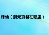 誅仙（混元真君在哪里）