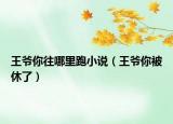 王爺你往哪里跑小說（王爺你被休了）