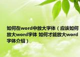 如何在word中放大字體（應(yīng)該如何放大word字體 如何才能放大word字體介紹）