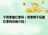 干青棗是紅棗嗎（青棗曬干后是紅棗嗎詳細介紹）