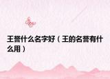 王譽什么名字好（王的名譽有什么用）