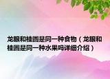 龍眼和桂圓是同一種食物（龍眼和桂圓是同一種水果嗎詳細(xì)介紹）