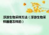 浮游生物采樣方法（浮游生物采樣器是怎樣的）