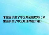 米里面長(zhǎng)蟲(chóng)了怎么辦還能吃嗎（米里面長(zhǎng)蟲(chóng)了怎么處理詳細(xì)介紹）