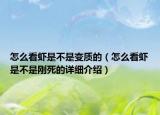 怎么看蝦是不是變質(zhì)的（怎么看蝦是不是剛死的詳細(xì)介紹）