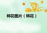 柿花圖片（柿花）