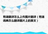 有道翻譯怎么上傳圖片翻譯（有道詞典怎么翻譯圖片上的英文）