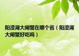 陽澄湖大閘蟹在哪個?。柍魏箝l蟹好吃嗎）