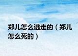鄭兒怎么逃走的（鄭兒怎么死的）