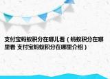 支付寶螞蟻積分在哪兒看（螞蟻積分在哪里看 支付寶螞蟻積分在哪里介紹）