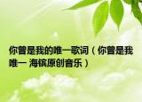 你曾是我的唯一歌詞（你曾是我唯一 海鑌原創(chuàng)音樂）
