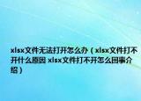 xlsx文件無法打開怎么辦（xlsx文件打不開什么原因 xlsx文件打不開怎么回事介紹）