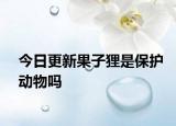 今日更新果子貍是保護(hù)動物嗎