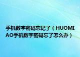手機(jī)數(shù)字密碼忘記了（HUOMIAO手機(jī)數(shù)字密碼忘了怎么辦）