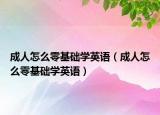 成人怎么零基礎(chǔ)學(xué)英語（成人怎么零基礎(chǔ)學(xué)英語）
