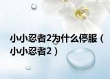 小小忍者2為什么停服（小小忍者2）