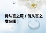 侍從官之肩（侍從官之發(fā)在哪）