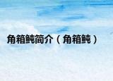 角箱鲀簡(jiǎn)介（角箱鲀）