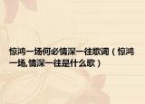 驚鴻一場何必情深一往歌詞（驚鴻一場,情深一往是什么歌）