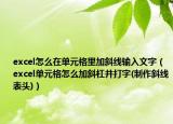 excel怎么在單元格里加斜線輸入文字（excel單元格怎么加斜杠并打字(制作斜線表頭)）