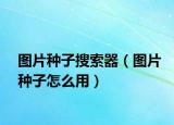 圖片種子搜索器（圖片種子怎么用）