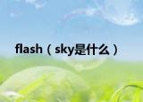 flash（sky是什么）