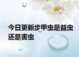 今日更新步甲蟲是益蟲還是害蟲