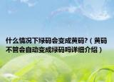 什么情況下綠碼會(huì)變成黃碼?（黃碼不管會(huì)自動(dòng)變成綠碼嗎詳細(xì)介紹）