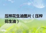 壓榨花生油圖片（壓榨花生油）