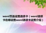 word頁面設(shè)置選項卡（word選項卡在哪設(shè)置word選項卡設(shè)置介紹）