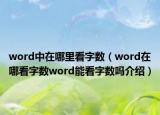 word中在哪里看字數(shù)（word在哪看字數(shù)word能看字數(shù)嗎介紹）